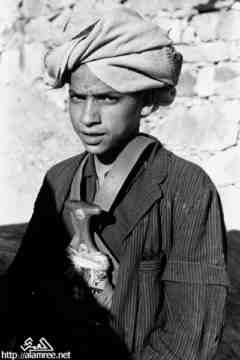 ���� ����� ��� ��� ����