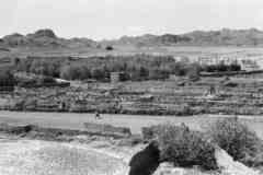 ���� ������ ��� ��� ����