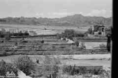 ���� ������ ��� ��� ����