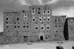 ���� ������ ��� ��� ����