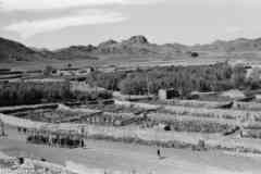 ���� ������ ��� ��� ����