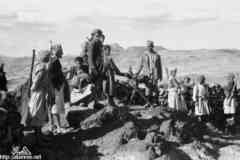 ���� ����� ��� ��� ����