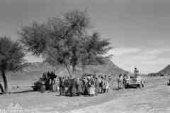 ���� ������ ��� ��� ����