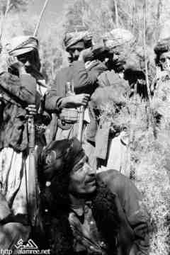 ���� ����� ��� ��� ����