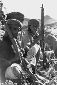 ���� ����� ��� ��� ����