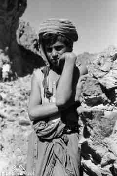 ���� ������ ��� ��� ����