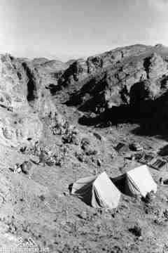 ���� ������ ��� ��� ����