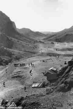 ���� ����� ��� ��� ����