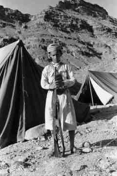 ���� ����� ��� ��� ����