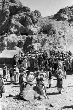 ���� ����� ��� ��� ����