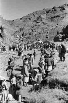 ���� ������ ��� ��� ����