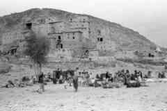 ���� ������ ��� ��� ����