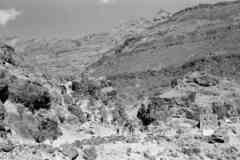 ���� ������ ��� ��� ����