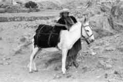 ���� ������ ��� ��� ����