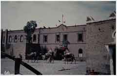 ���� ������ ��� ��� ����