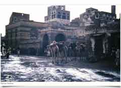 ���� ������ ��� ��� ����