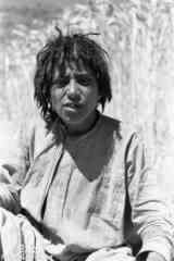 ���� ������ ��� ��� ����