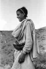 ���� ������ ��� ��� ����