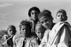 ���� ������ ��� ��� ����