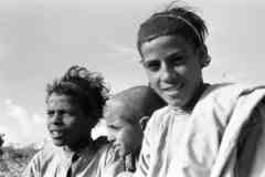 ���� ������ ��� ��� ����