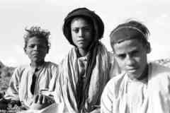 ���� ������ ��� ��� ����