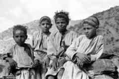 ���� ������ ��� ��� ����