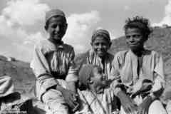 ���� ������ ��� ��� ����