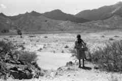 ���� ������ ��� ��� ����