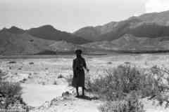 ���� ������ ��� ��� ����