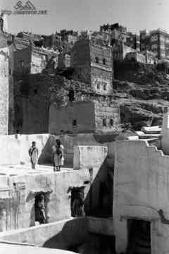 ���� ������ ��� ��� ����