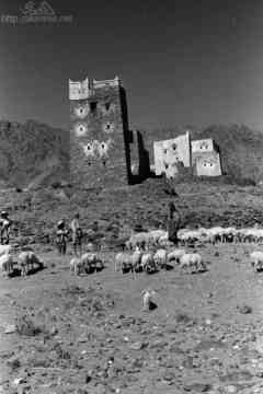 ���� ������ ��� ��� ����