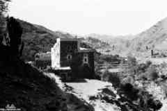 ���� ������ ��� ��� ����