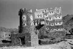 ���� ������ ��� ��� ����