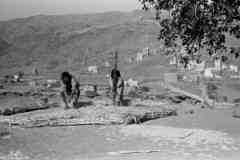 ���� ������ ��� ��� ����