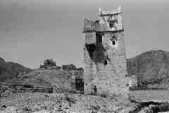 ���� ������ ��� ��� ����