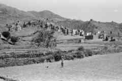 ���� ������ ��� ��� ����