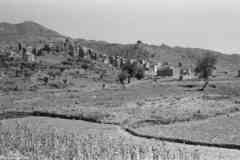 ���� ������ ��� ��� ����