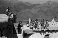 ���� ������ ��� ��� ����