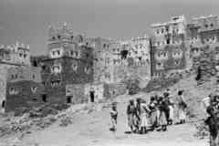 ���� ������ ��� ��� ����