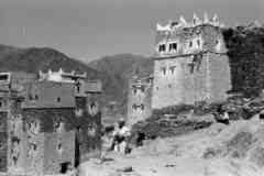 ���� ������ ��� ��� ����