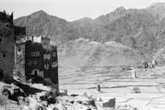 ���� ������ ��� ��� ����