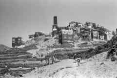 ���� ������ ��� ��� ����