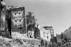 ���� ������ ��� ��� ����