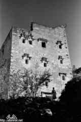 ���� ������ ��� ��� ����