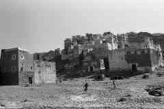 ���� ������ ��� ��� ����