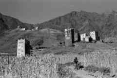 ���� ������ ��� ��� ����