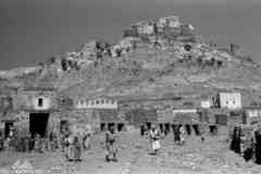 ���� ������ ��� ��� ����