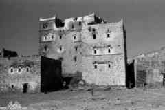 ���� ������ ��� ��� ����