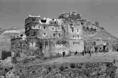 ���� ������ ��� ��� ����