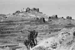 ���� ������ ��� ��� ����